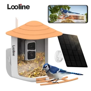Kameralı Solar Güneş Panelli Kuş Mama Kabı 1.6L Yem Haznesi  V3-WNQ